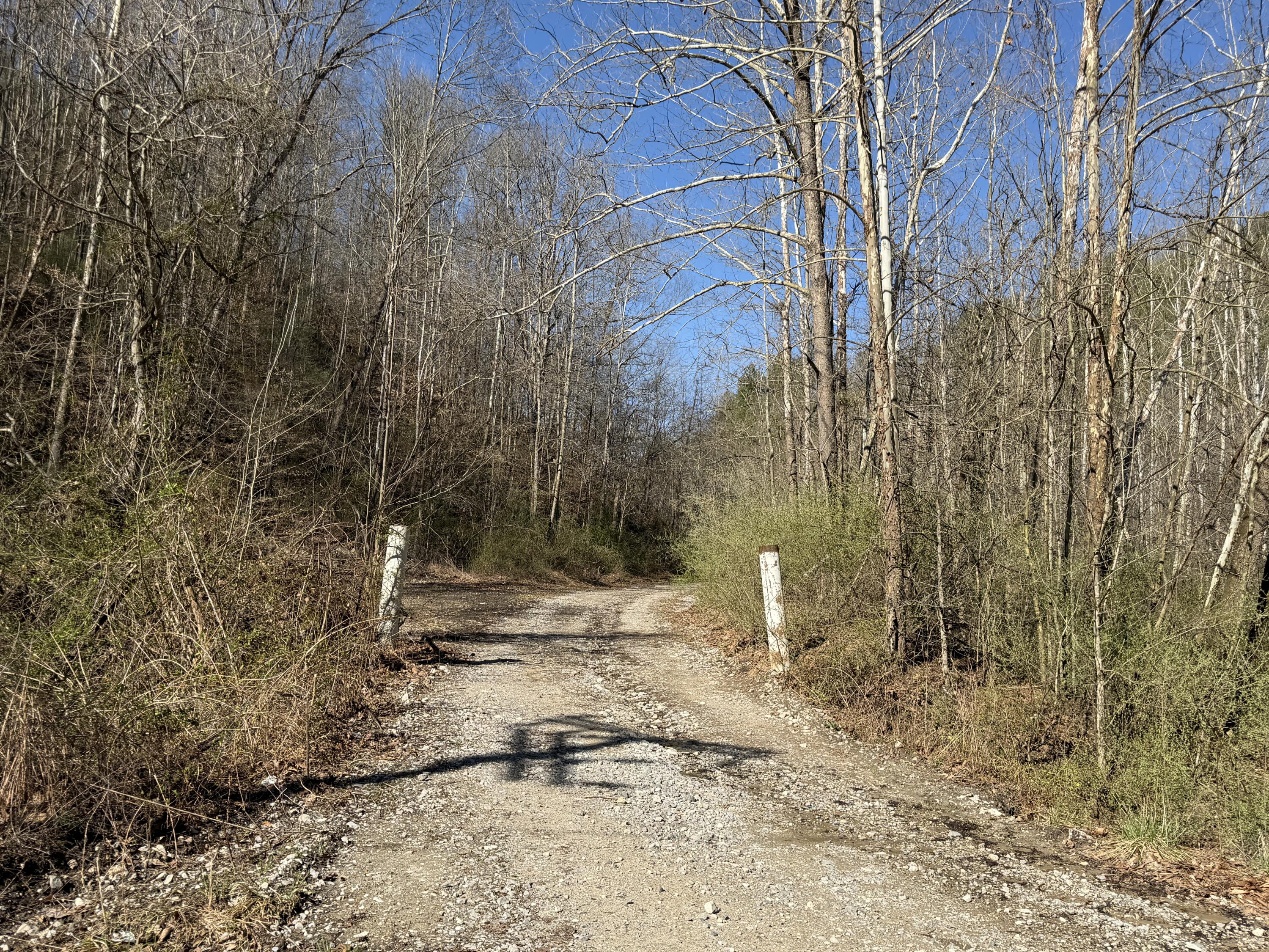 2214a State Highway 2033 Property Photo 193