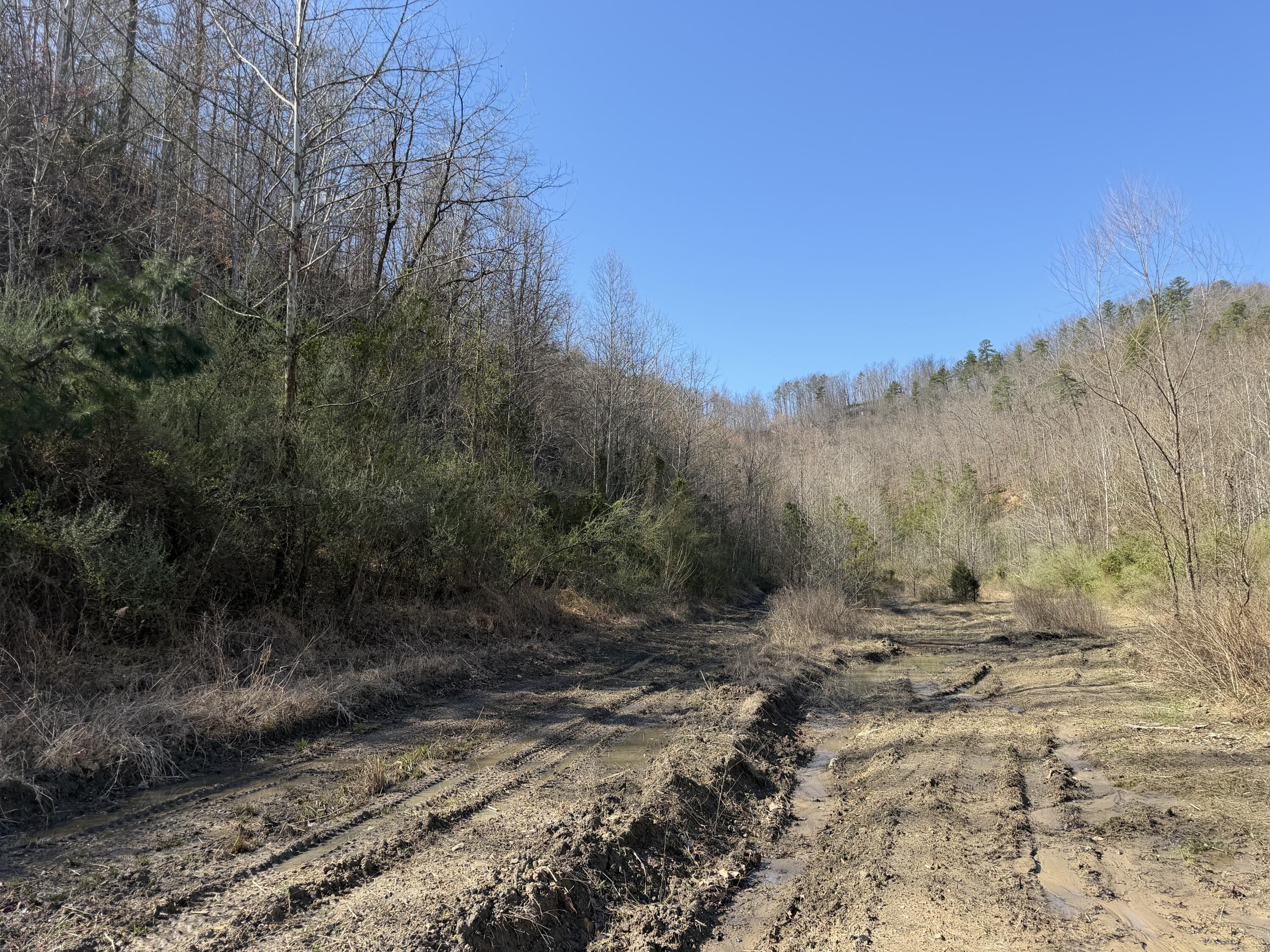 2214a State Highway 2033 Property Photo 196