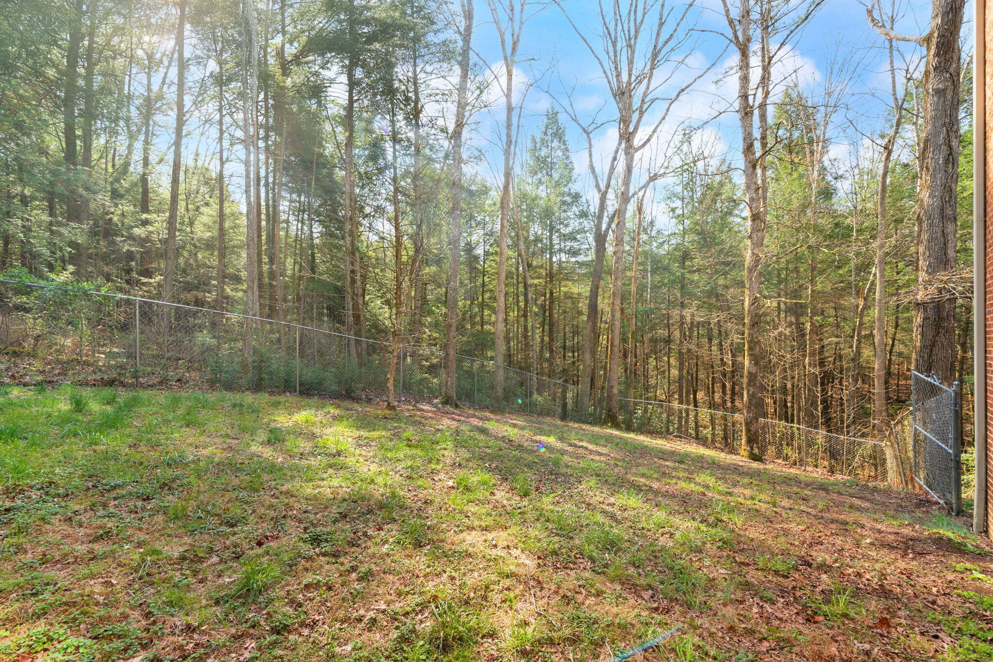 1917 Mallard Drive Property Photo 168