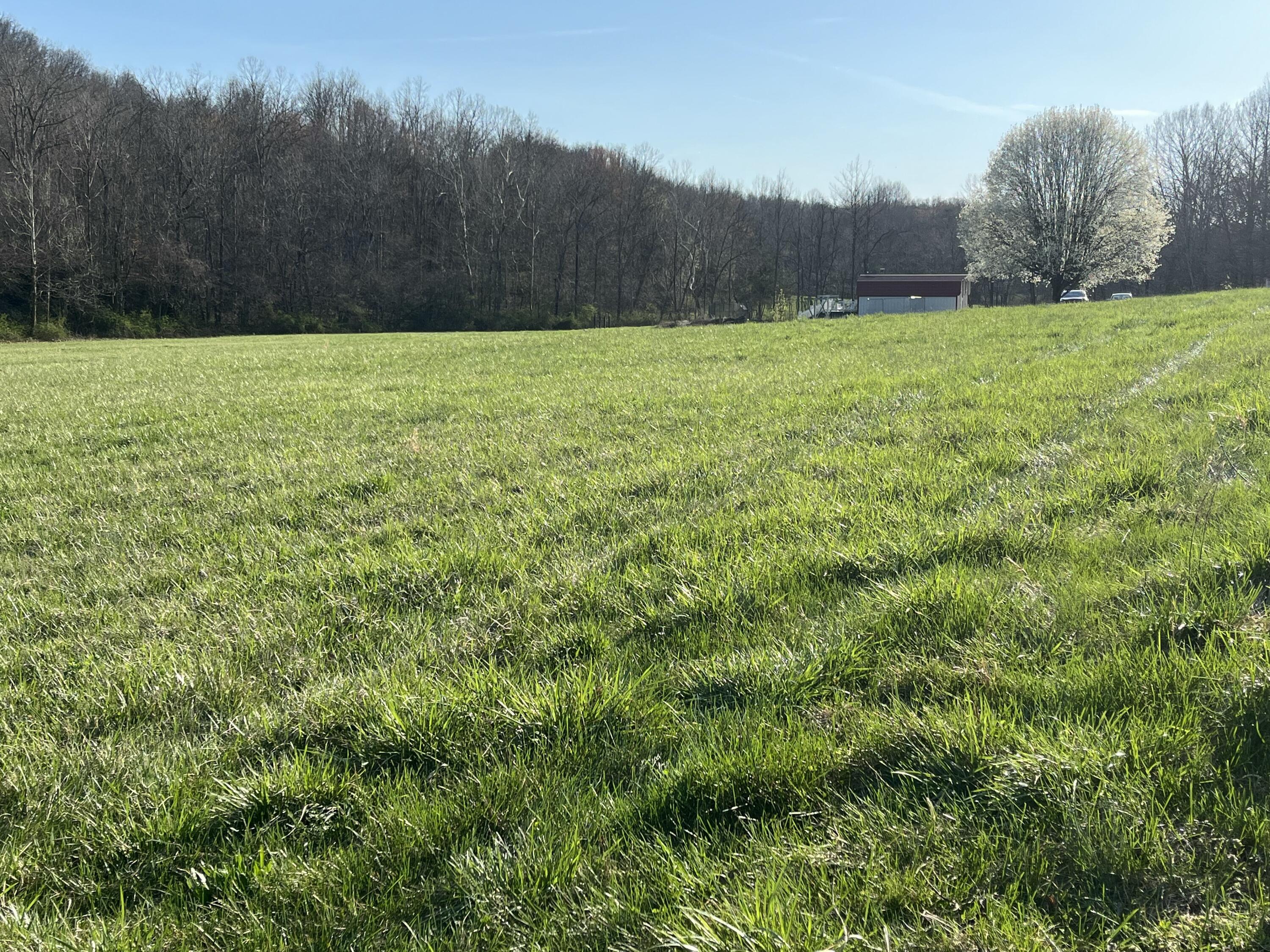 2864 Scrubgrass Road Property Photo 60