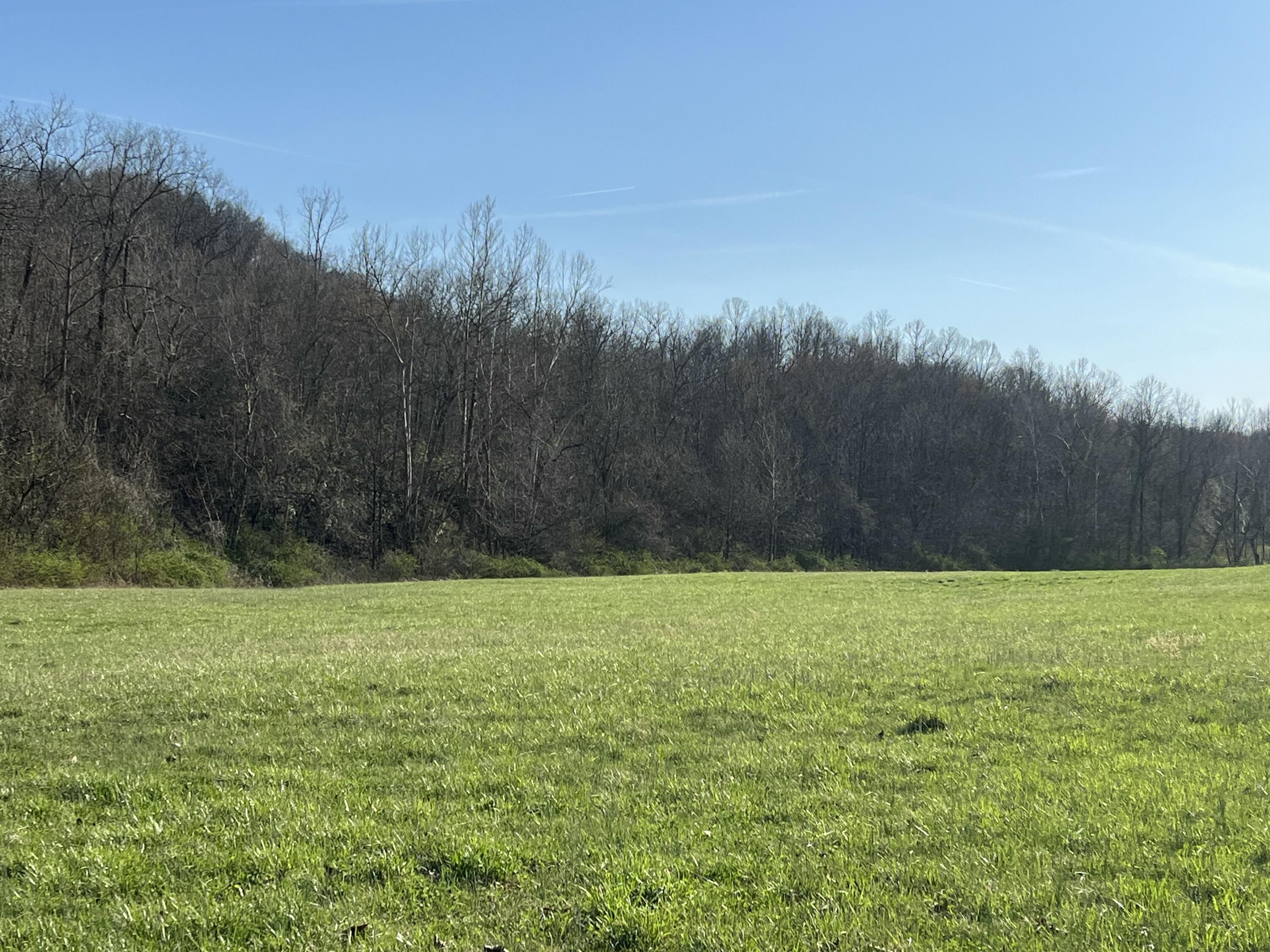 2864 Scrubgrass Road Property Photo 61