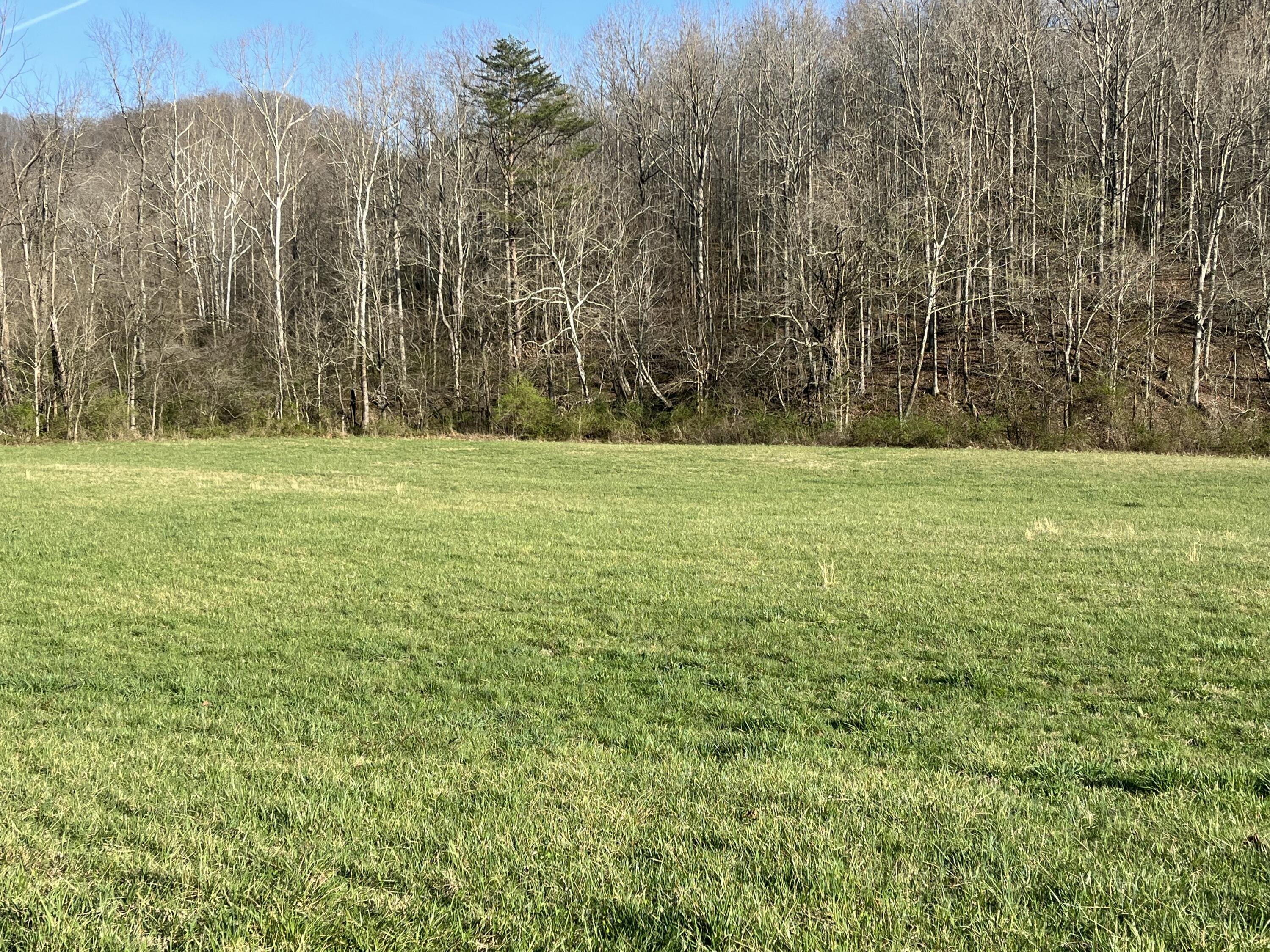 2864 Scrubgrass Road Property Photo 62