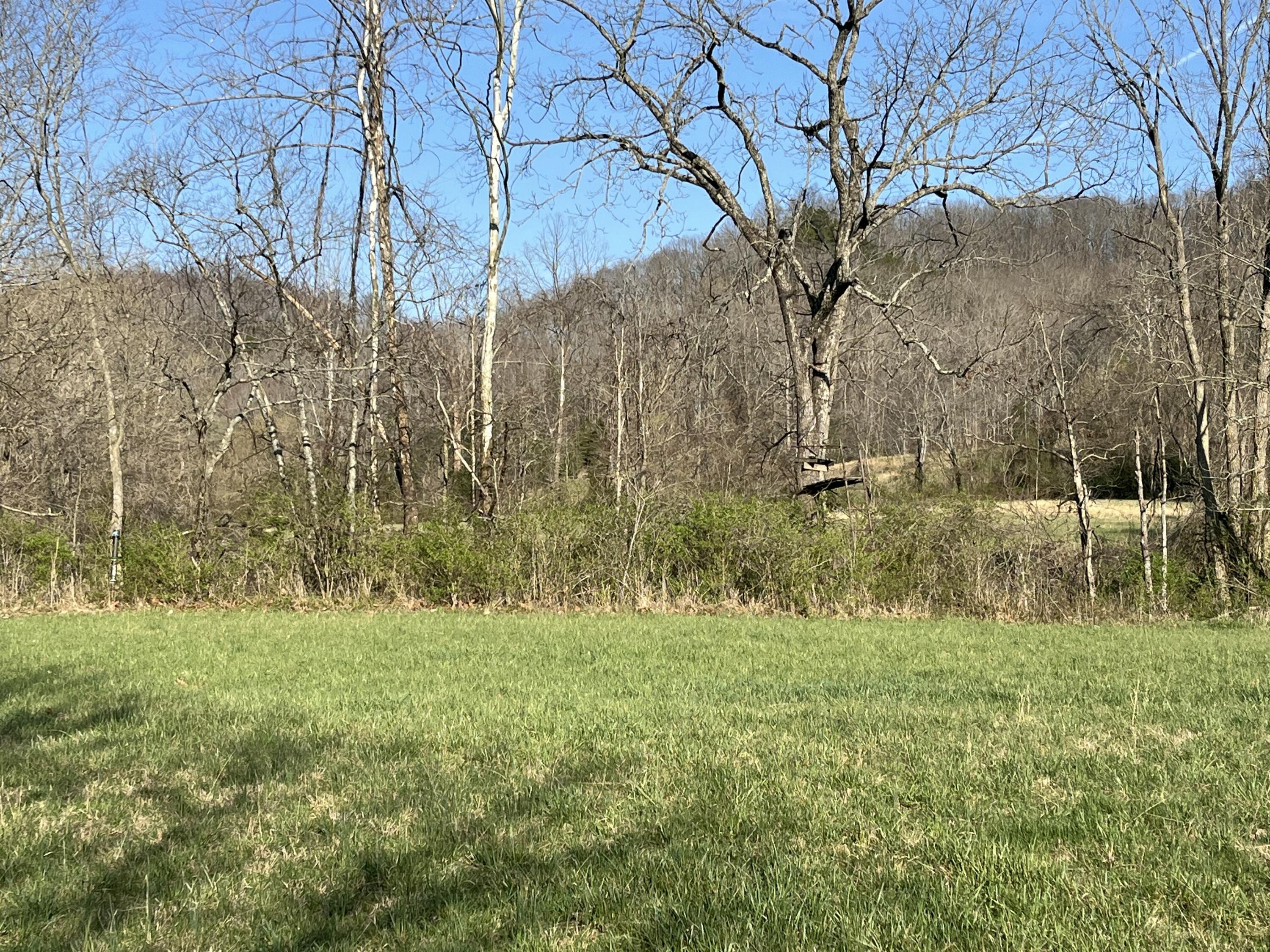 2864 Scrubgrass Road Property Photo 64