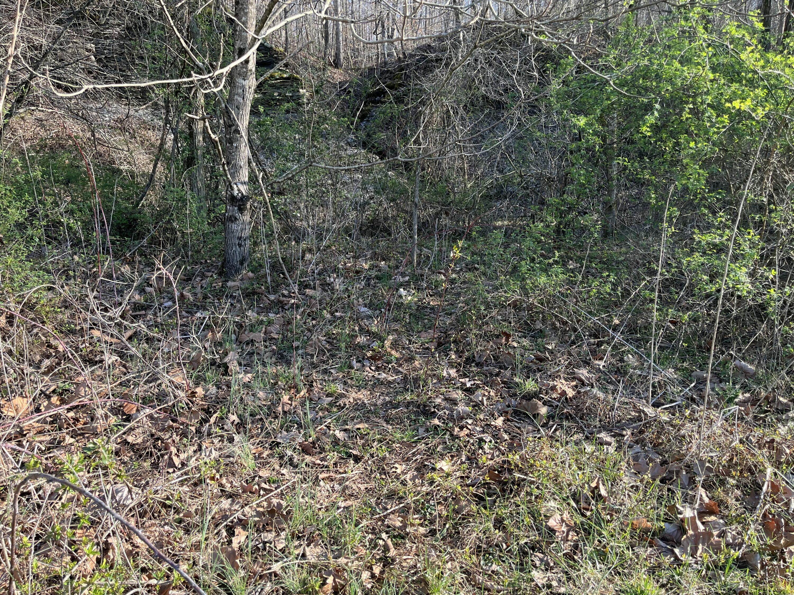 2864 Scrubgrass Road Property Photo 70