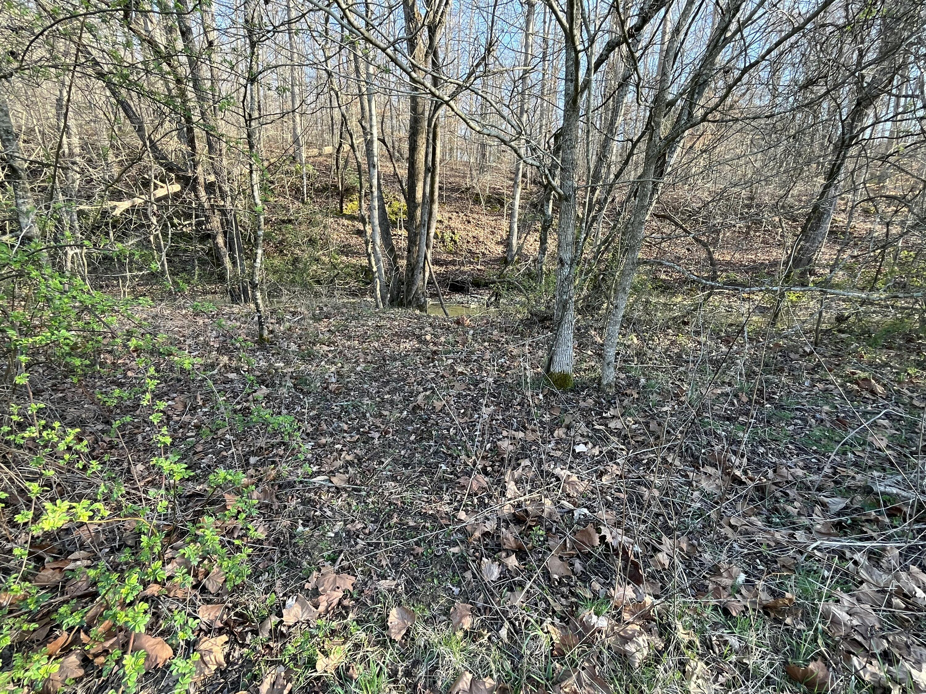 2864 Scrubgrass Road Property Photo 73
