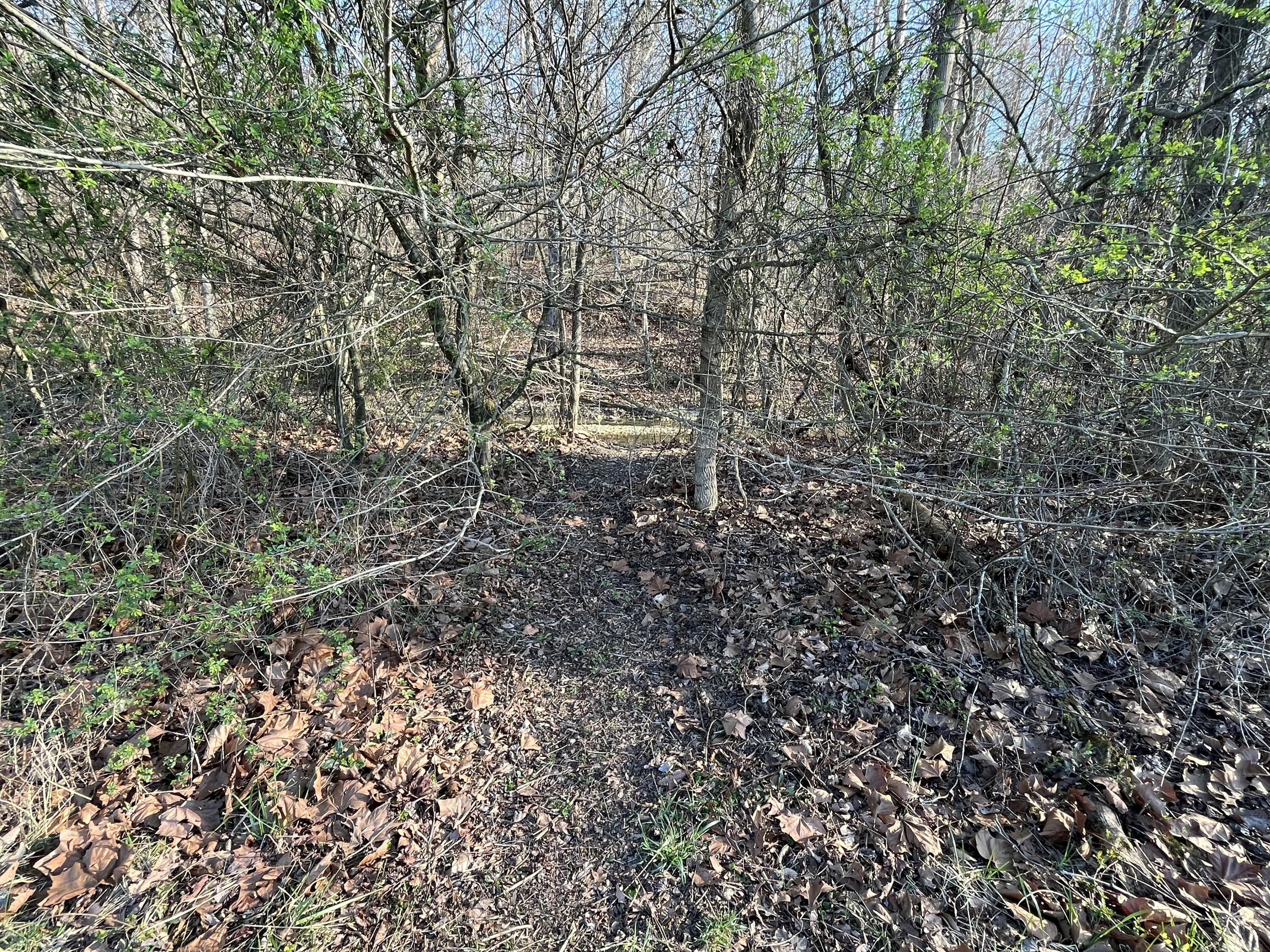 2864 Scrubgrass Road Property Photo 74