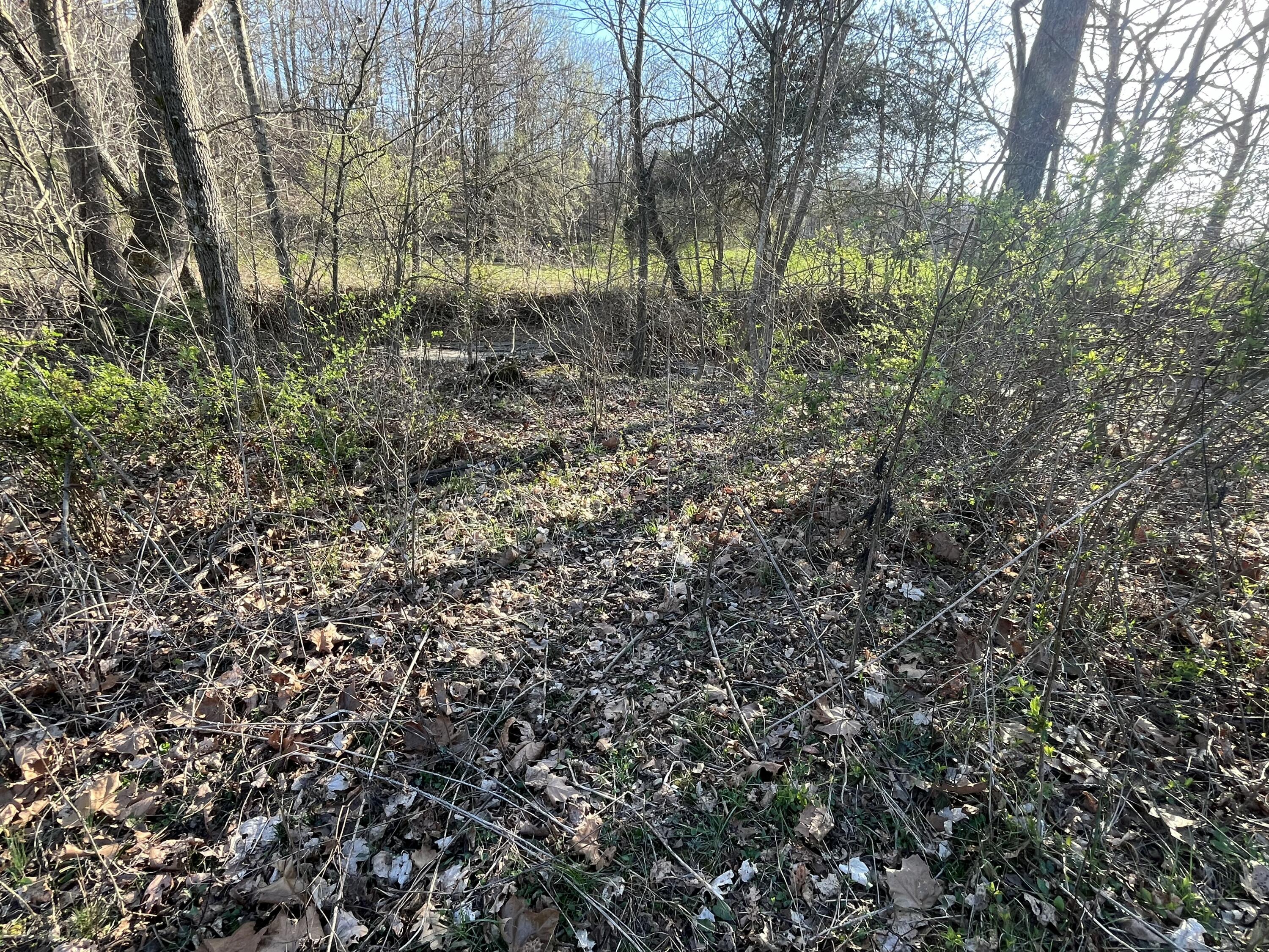 2864 Scrubgrass Road Property Photo 75