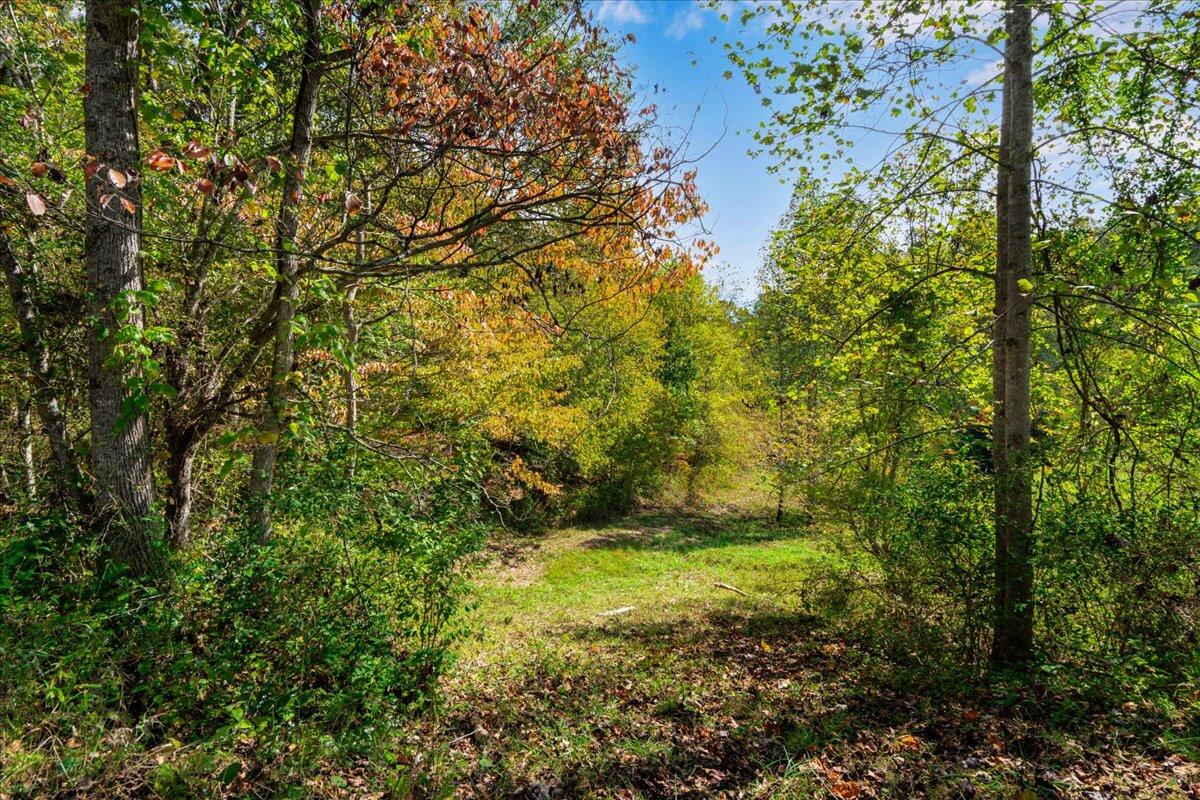 9999 Ky-15 Property Photo 6