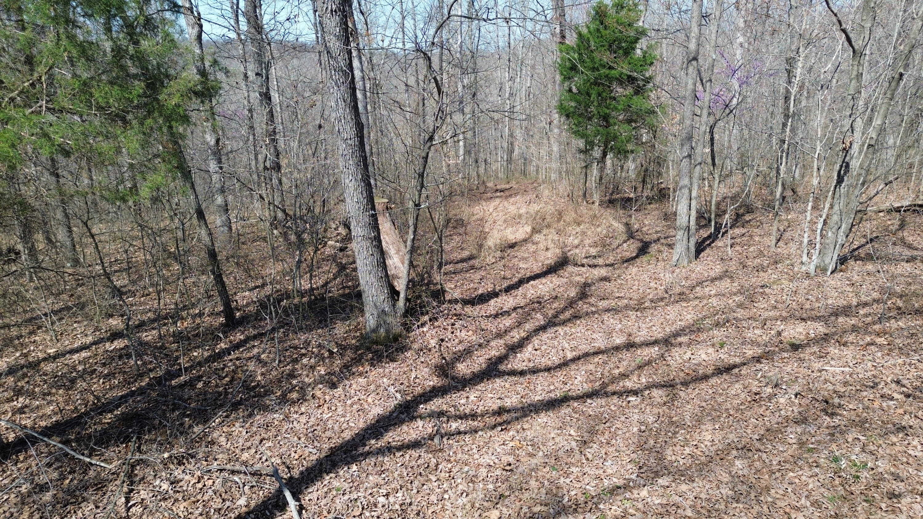 20a Riverside Benleo Road Property Photo 9