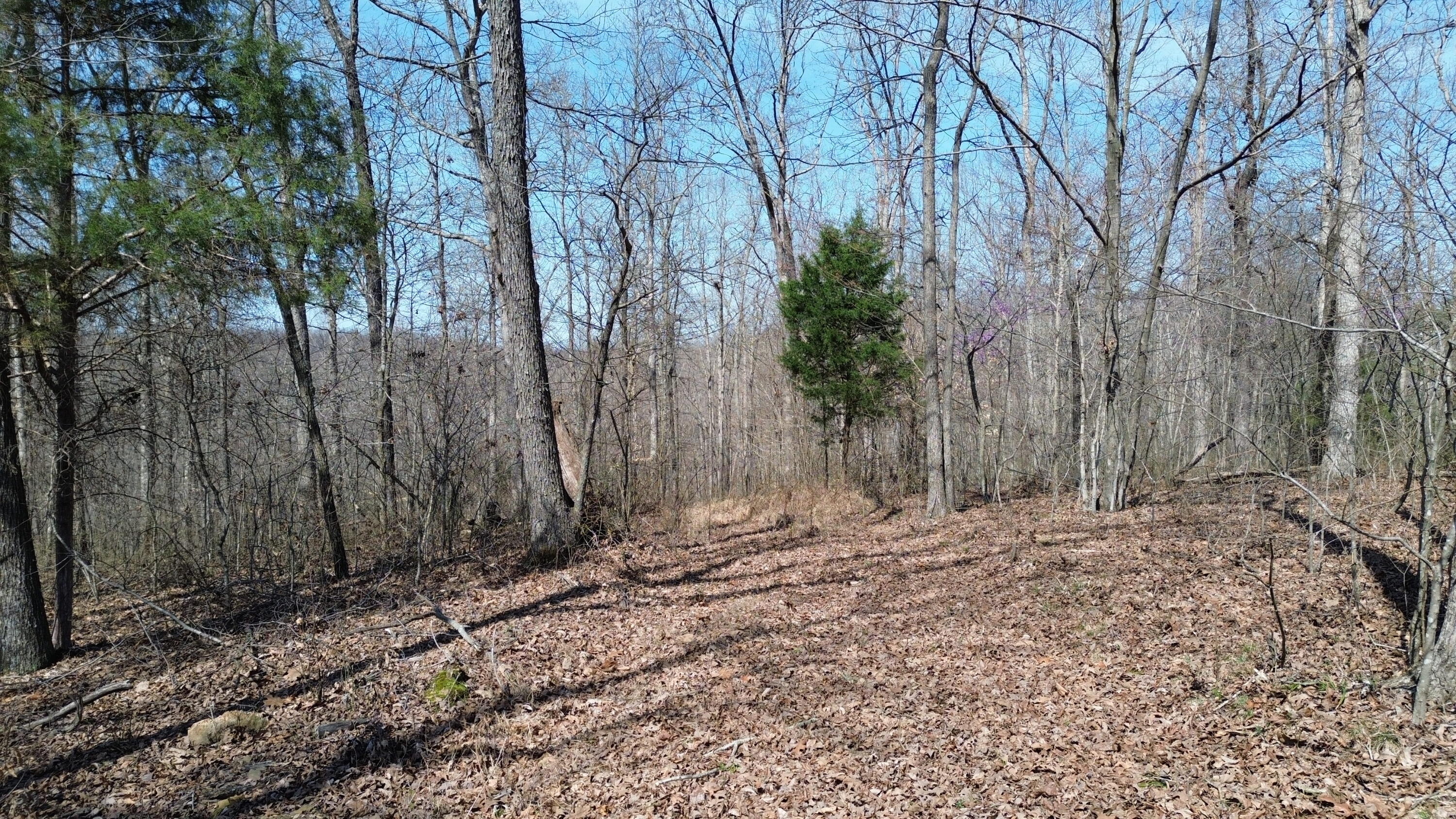 20a Riverside Benleo Road Property Photo 10