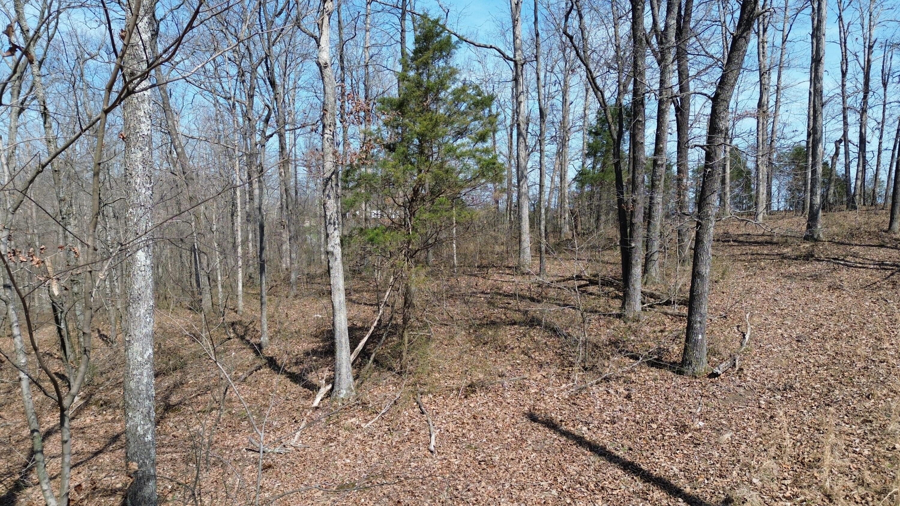 20a Riverside Benleo Road Property Photo 11