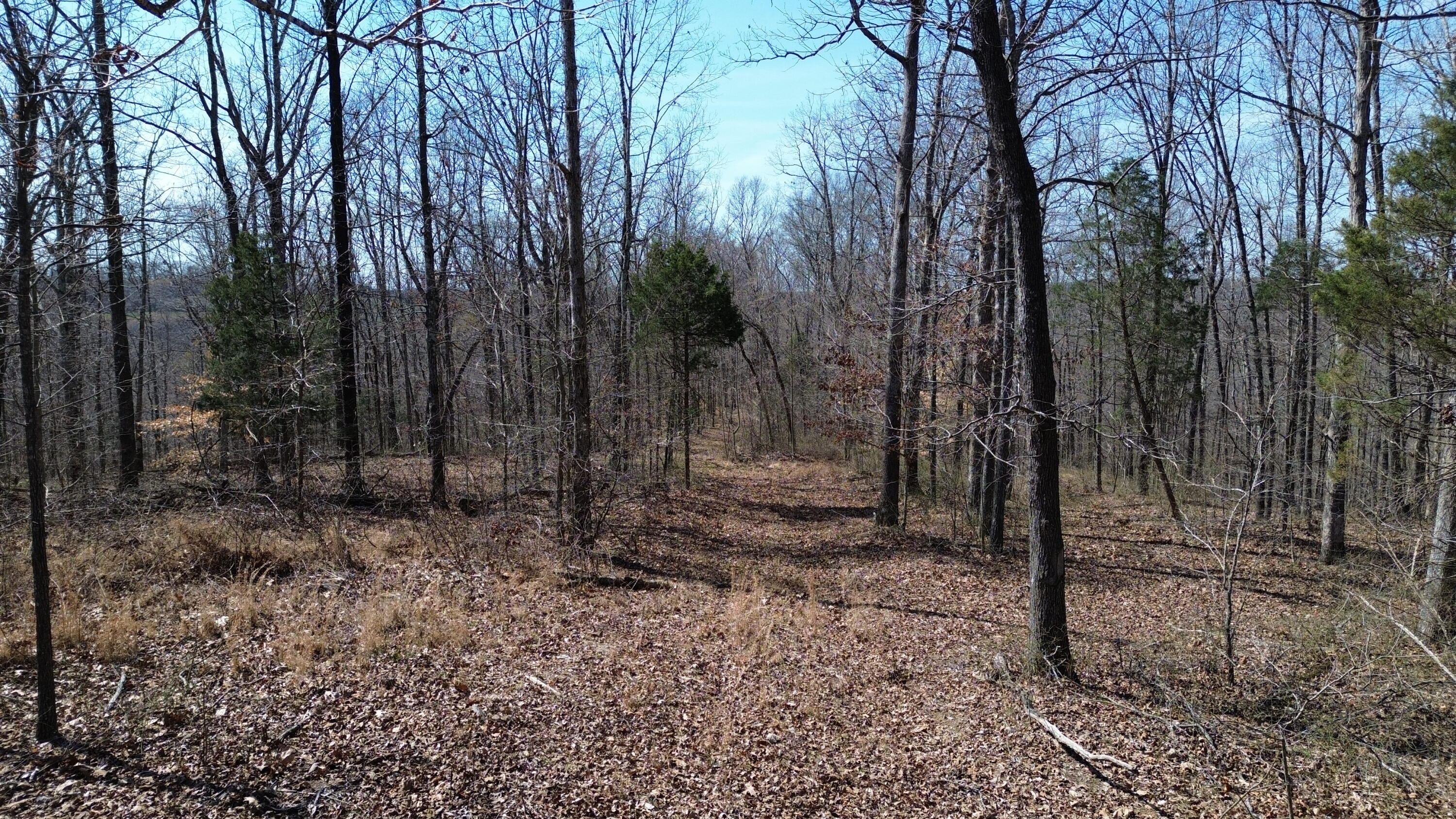 20a Riverside Benleo Road Property Photo 14