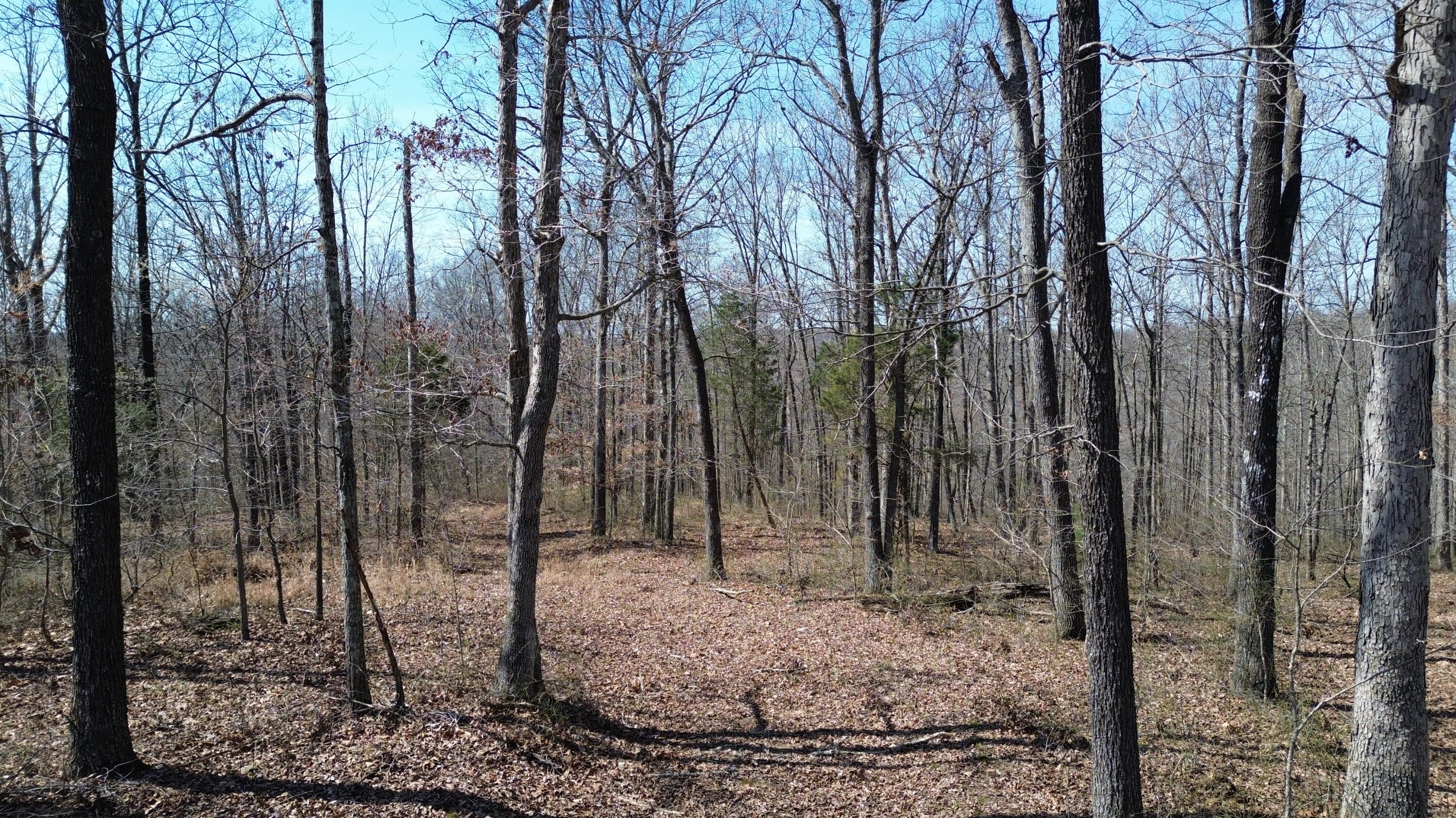 20a Riverside Benleo Road Property Photo 15
