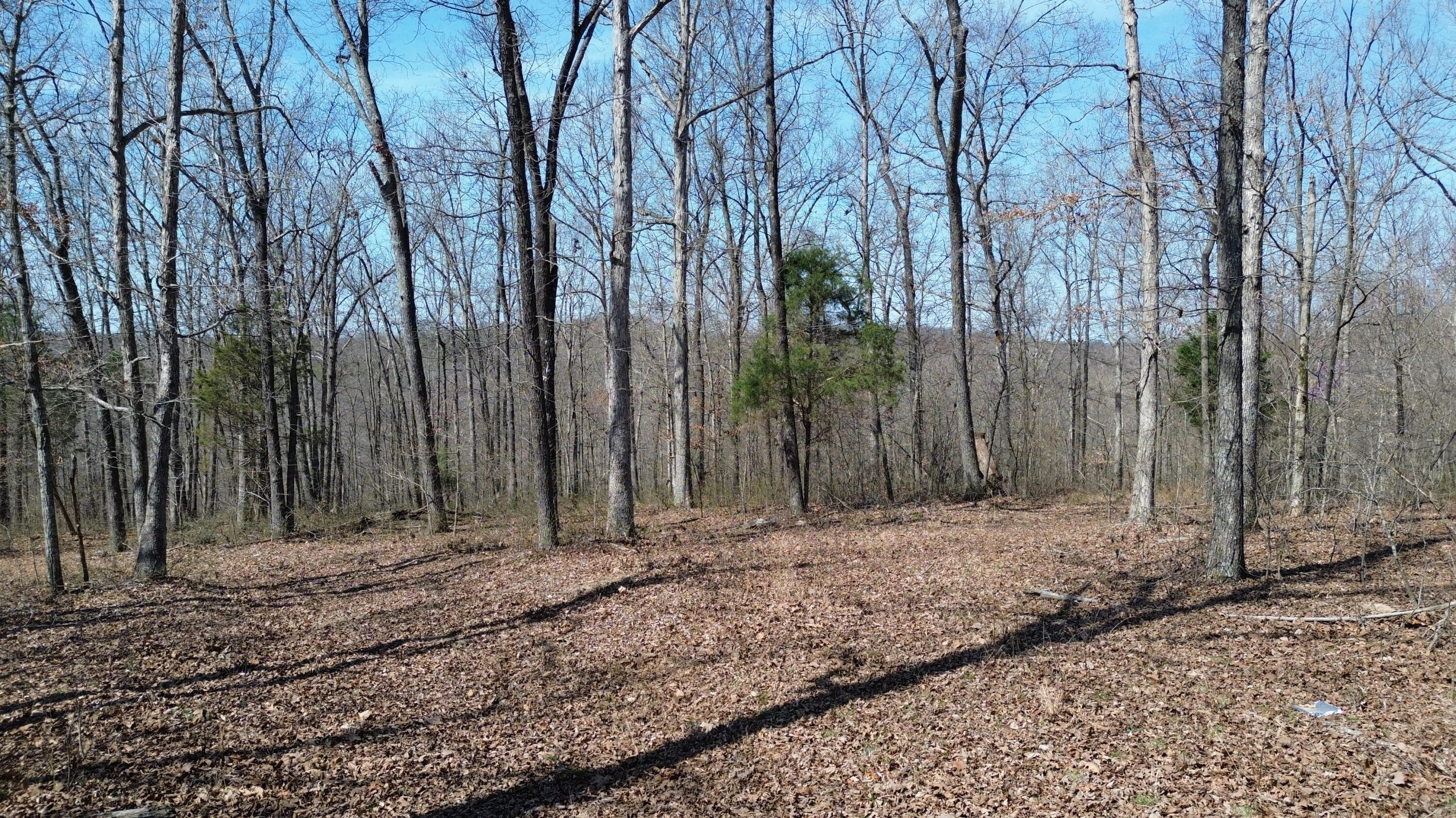 20a Riverside Benleo Road Property Photo 16