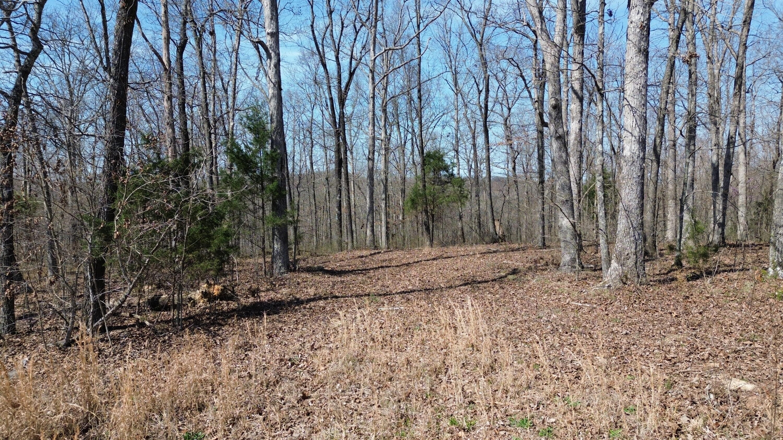 20a Riverside Benleo Road Property Photo 17