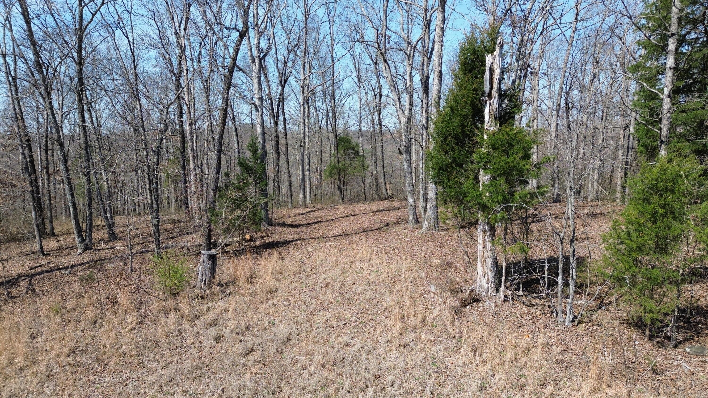 20a Riverside Benleo Road Property Photo 18