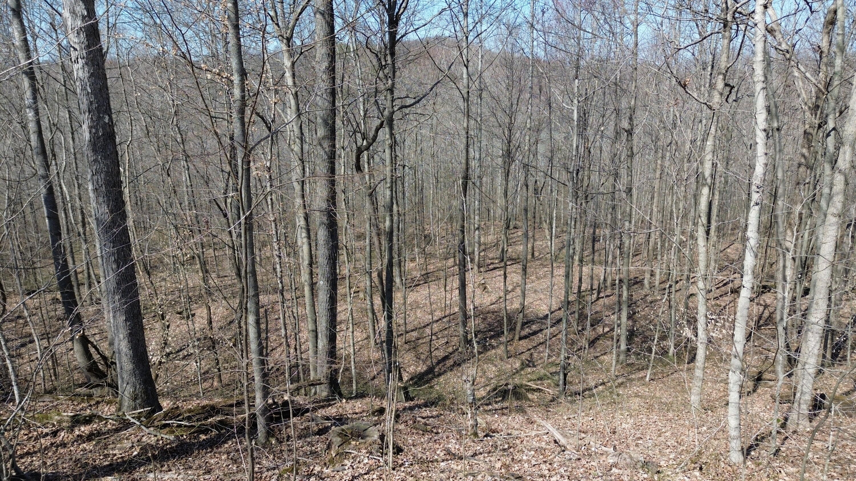 20a Riverside Benleo Road Property Photo 22