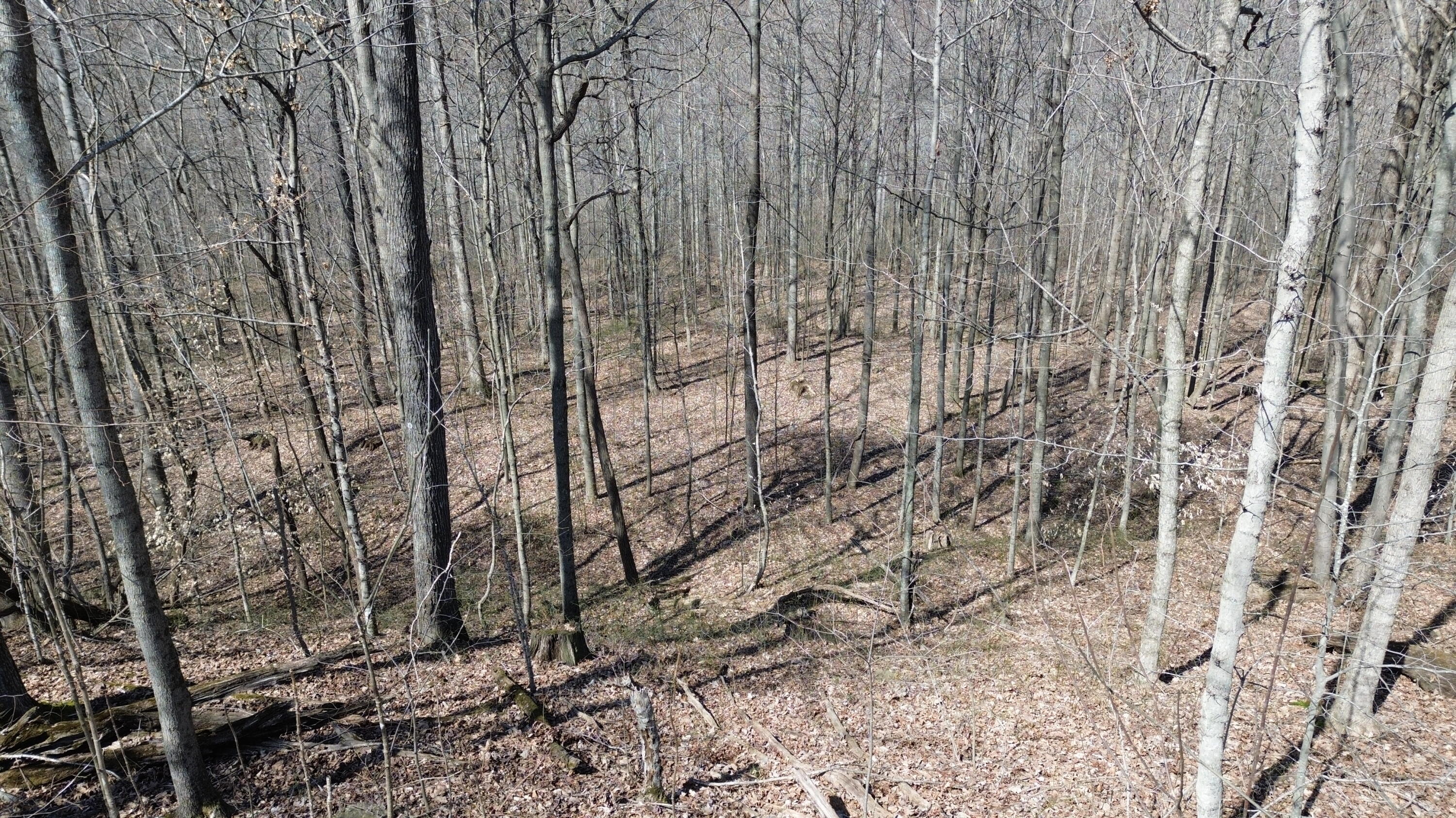20a Riverside Benleo Road Property Photo 23