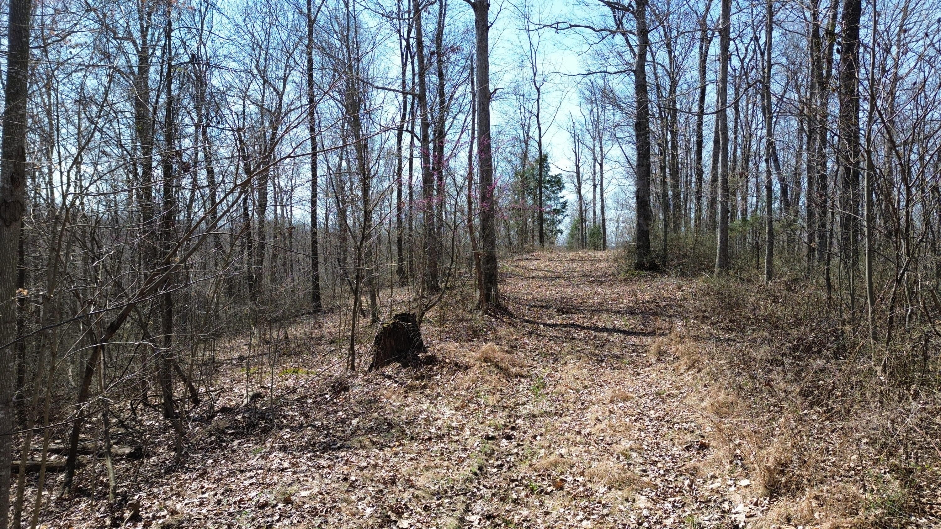 20a Riverside Benleo Road Property Photo 24