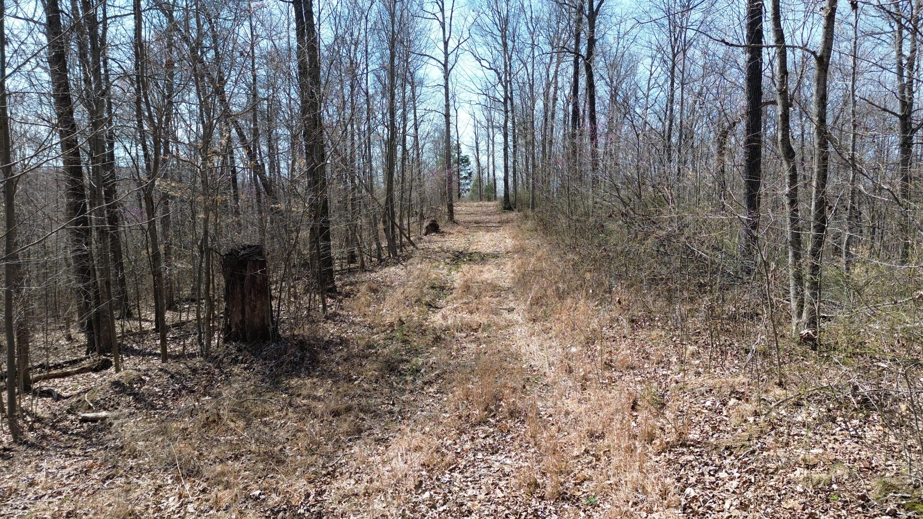 20a Riverside Benleo Road Property Photo 25