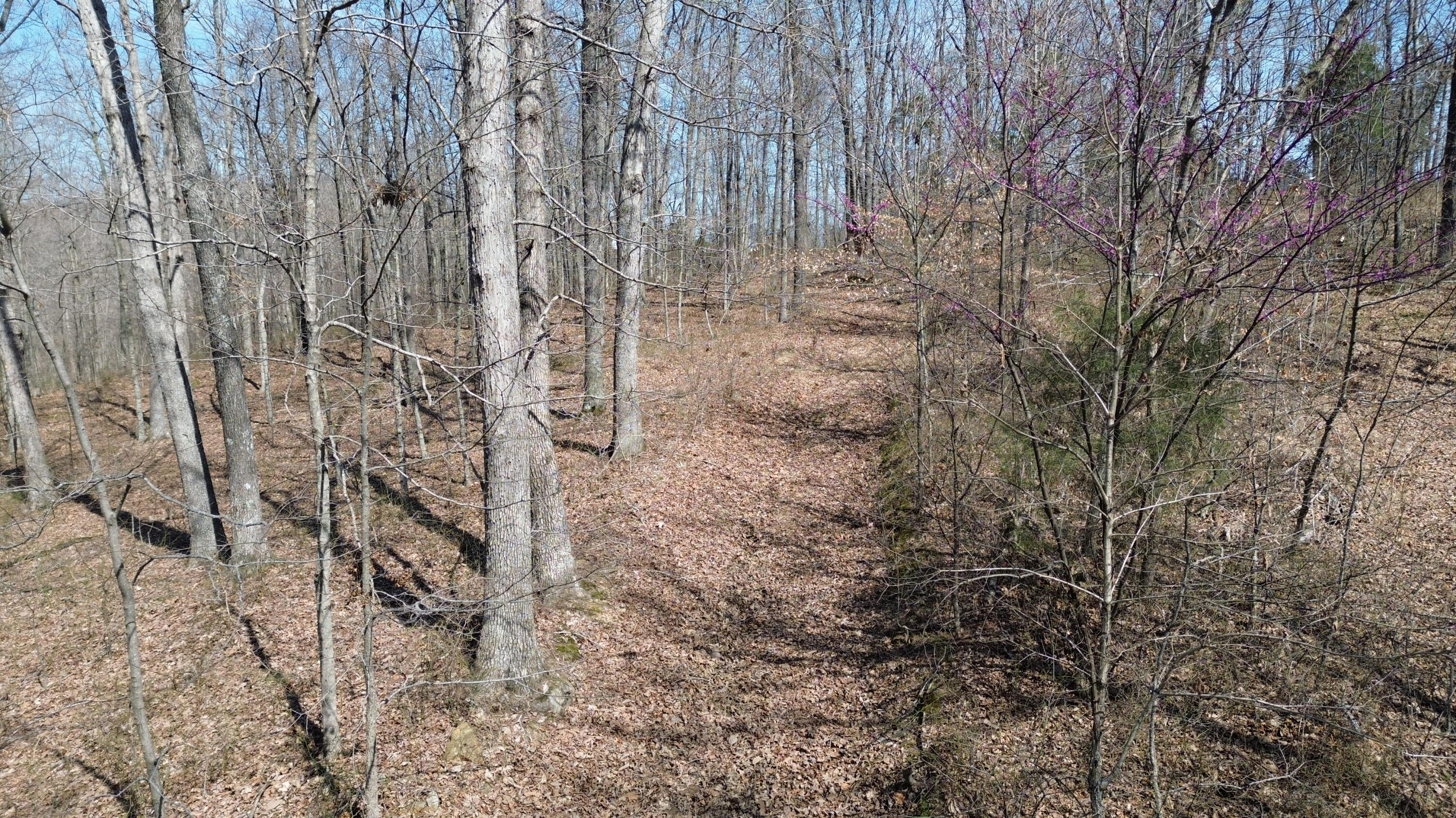 20a Riverside Benleo Road Property Photo 29