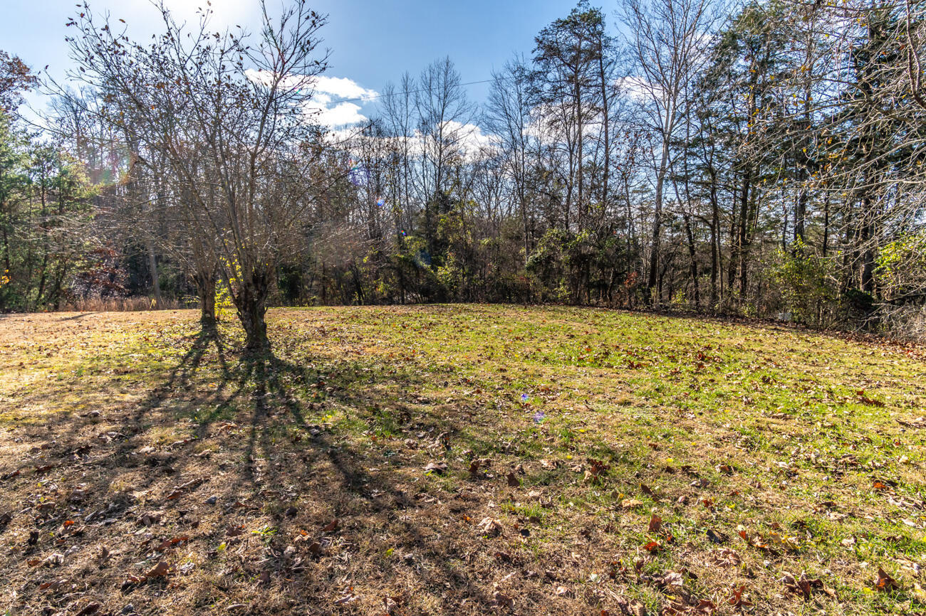 1433 Gravel Lick Branch Road Property Photo 51