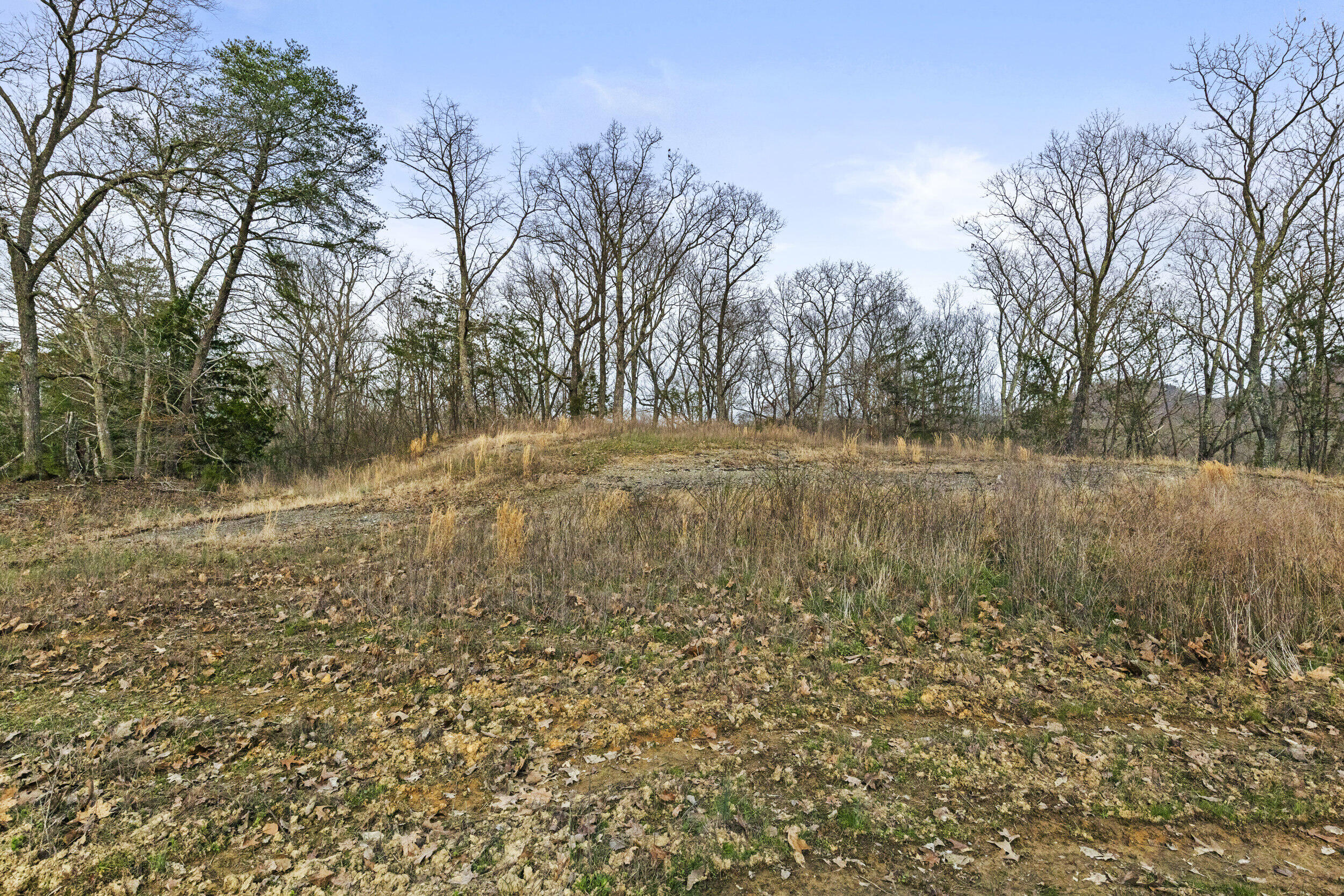 6930 Winchester Road Property Photo 16