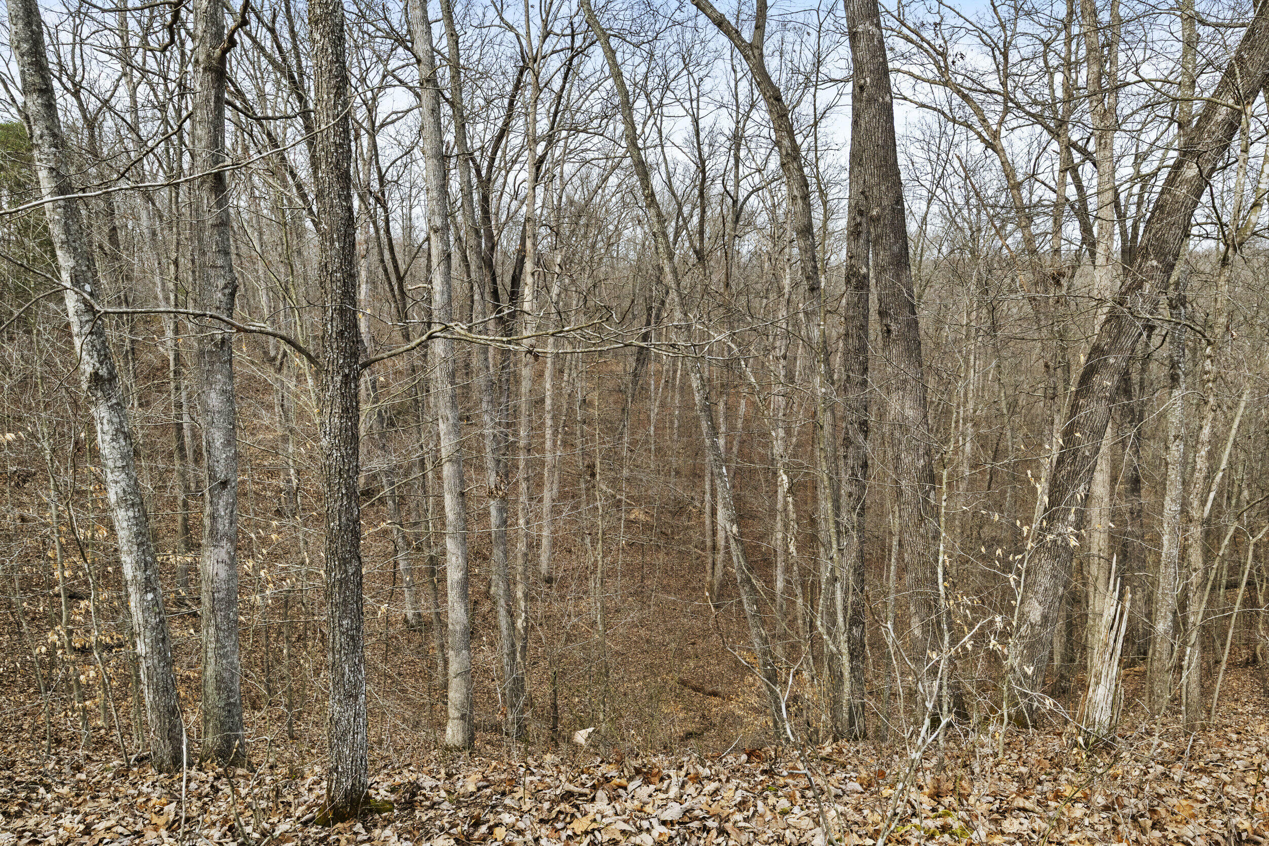 6930 Winchester Road Property Photo 18