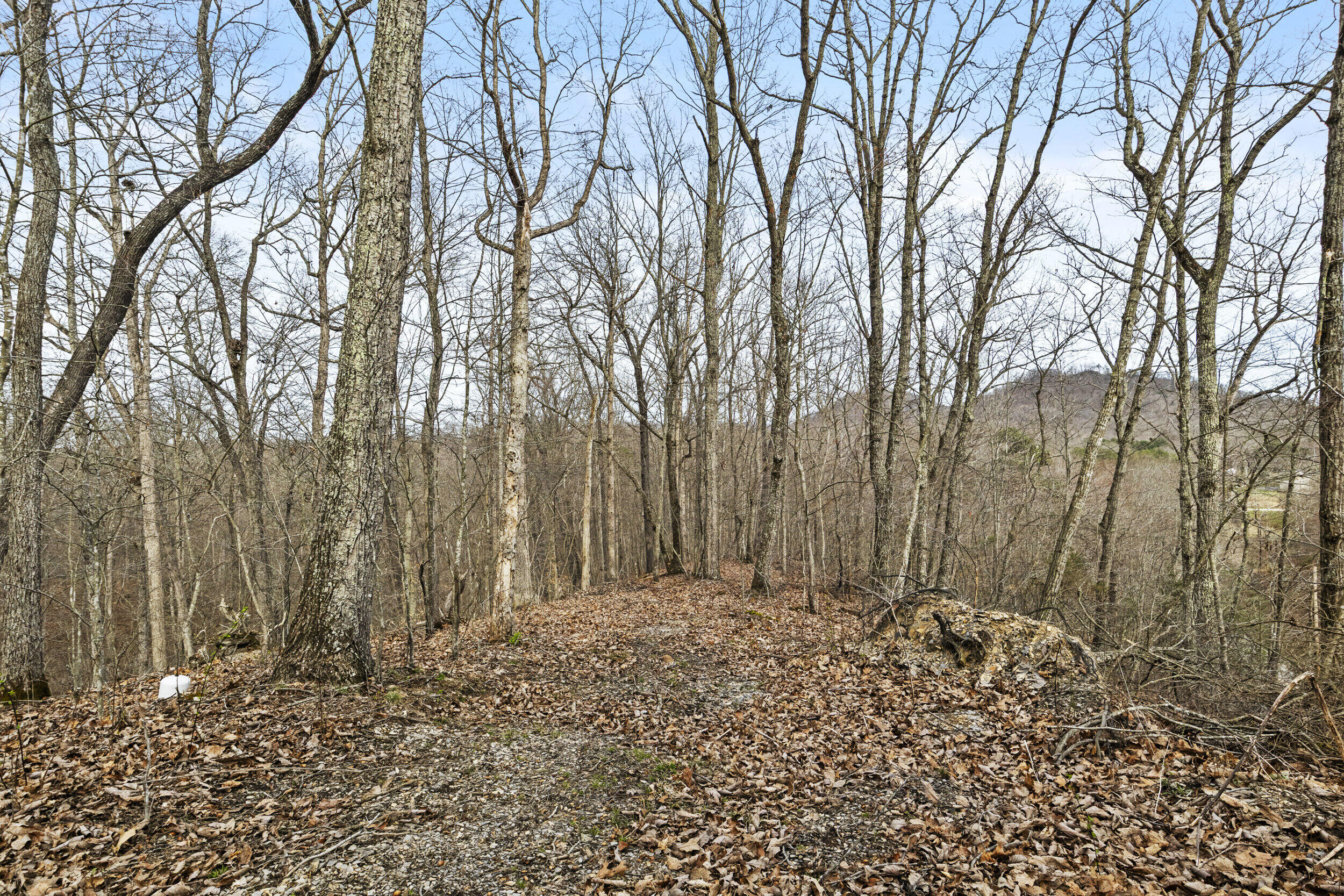 6930 Winchester Road Property Photo 20