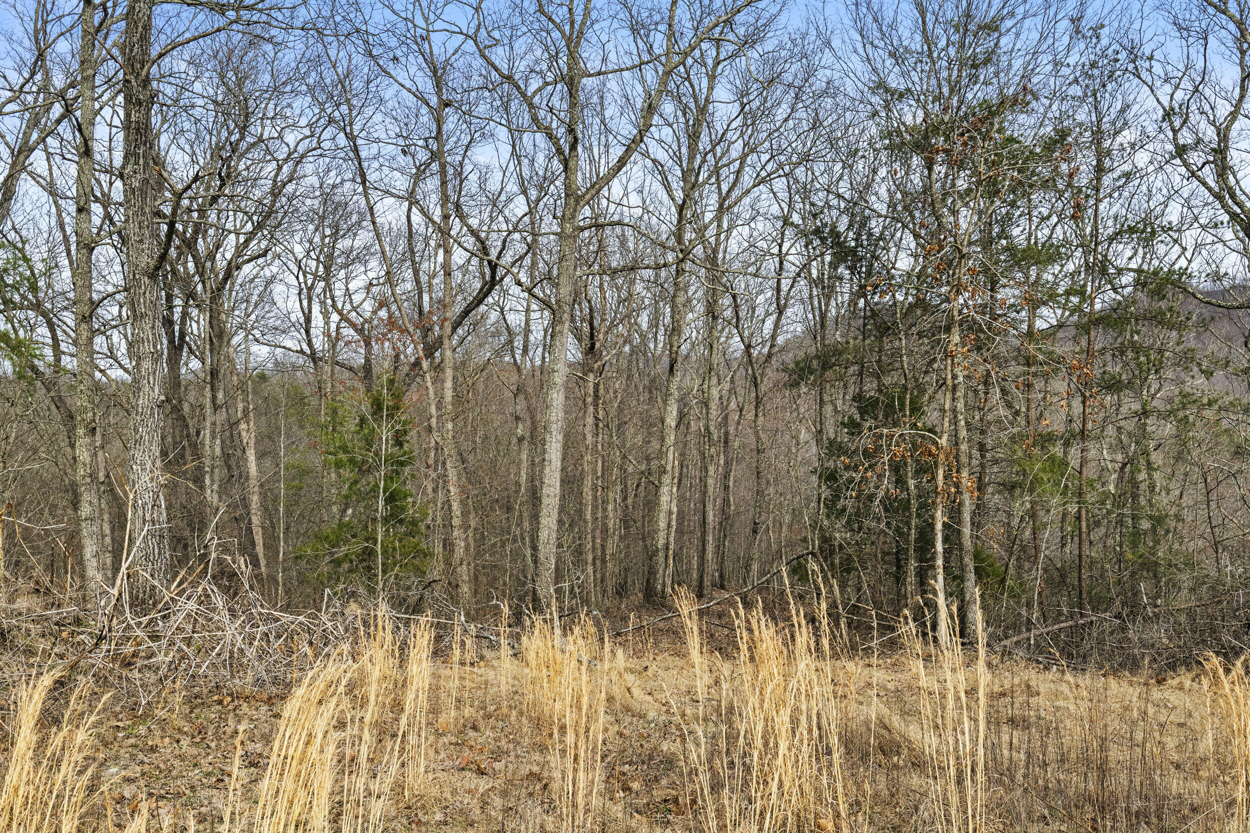 6930 Winchester Road Property Photo 21