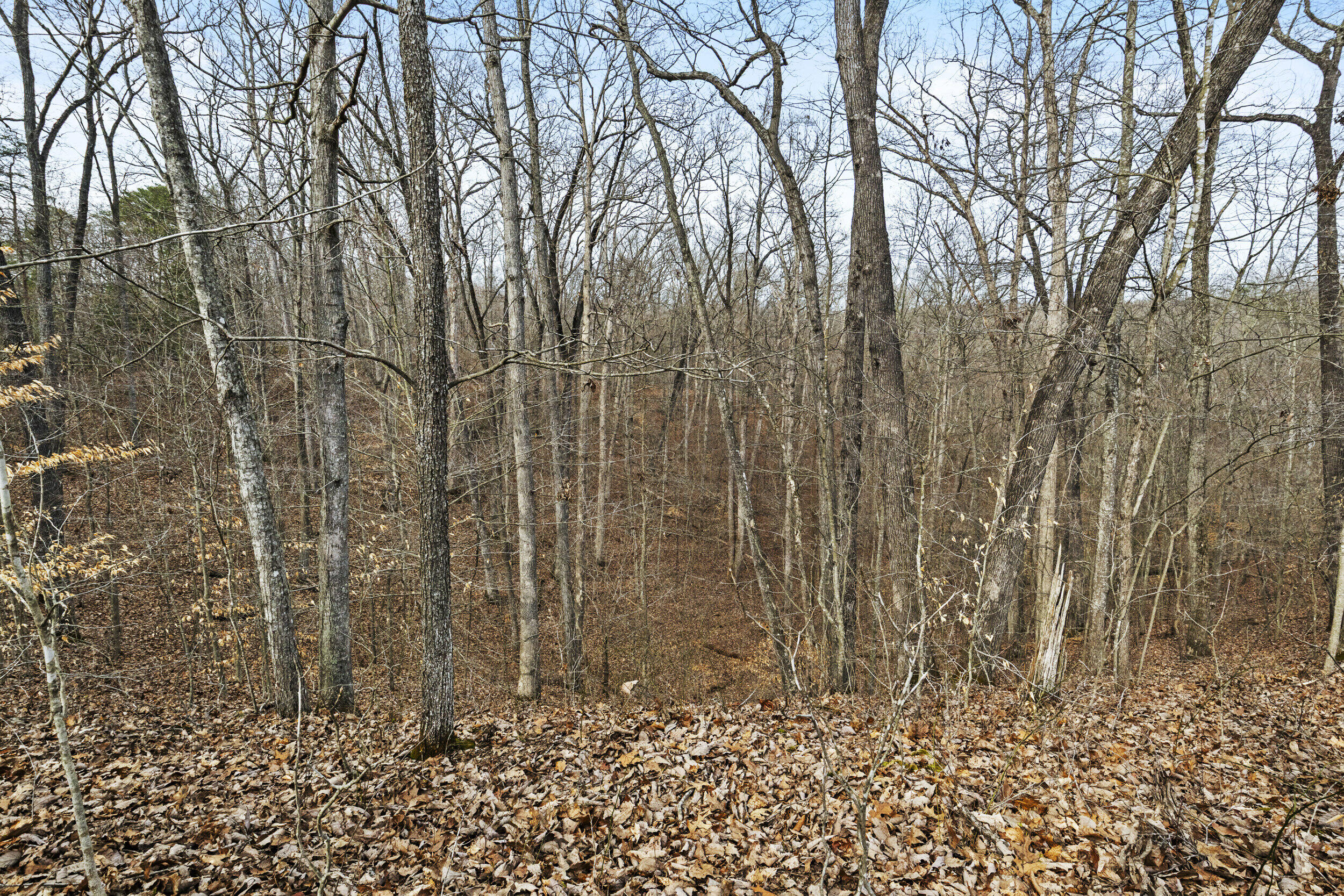 6930 Winchester Road Property Photo 22