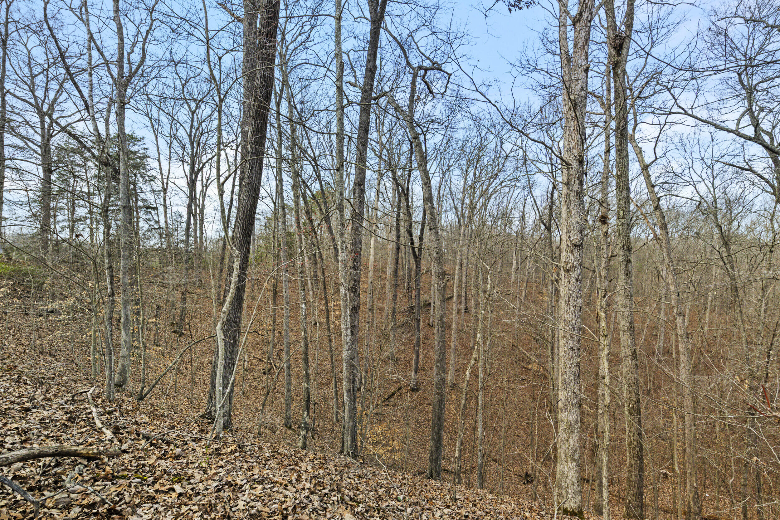 6930 Winchester Road Property Photo 23