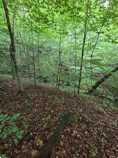 0 Beechmont Road Property Photo 3
