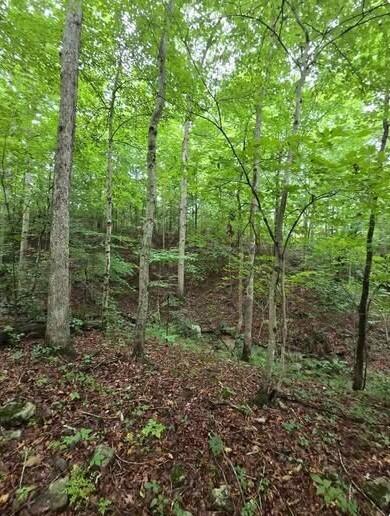 0 Beechmont Road Property Photo 4