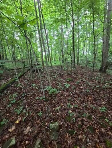 0 Beechmont Road Property Photo 5