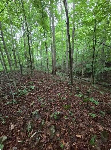 0 Beechmont Road Property Photo 6