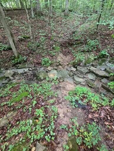 0 Beechmont Road Property Photo 8