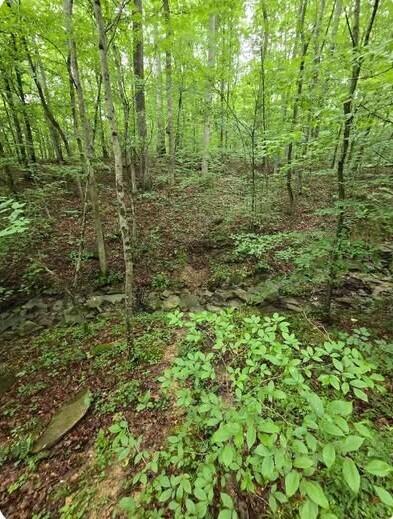 0 Beechmont Road Property Photo 9