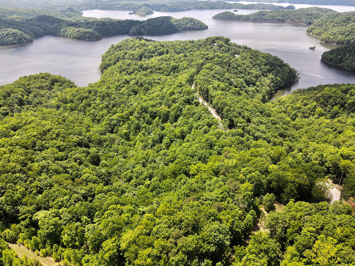 132 Sandstone Point Trail Property Photo 3