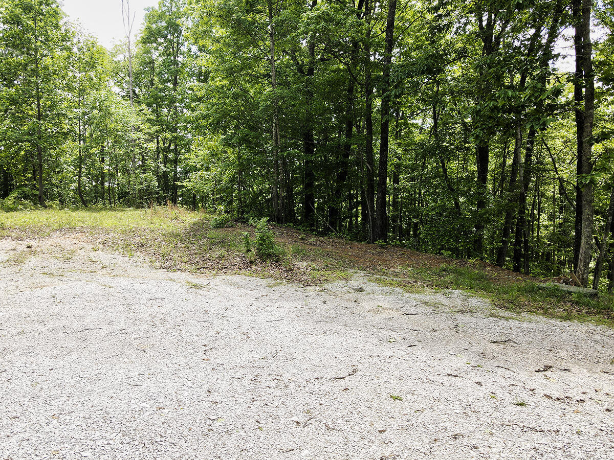 132 Sandstone Point Trail Property Photo 4