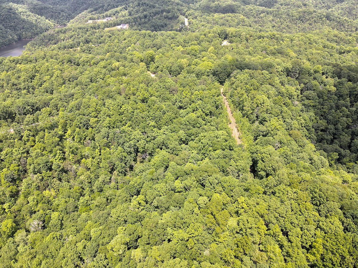 132 Sandstone Point Trail Property Photo 6