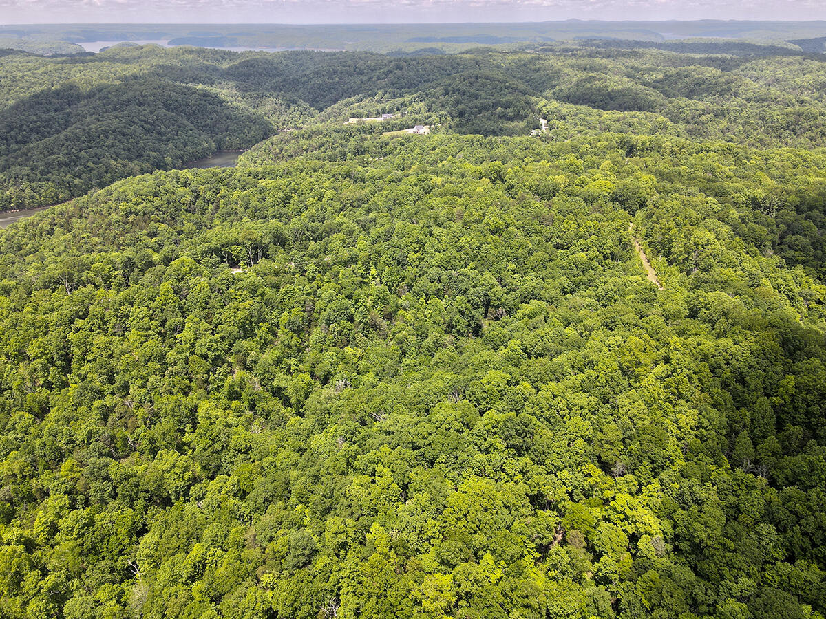 132 Sandstone Point Trail Property Photo 7
