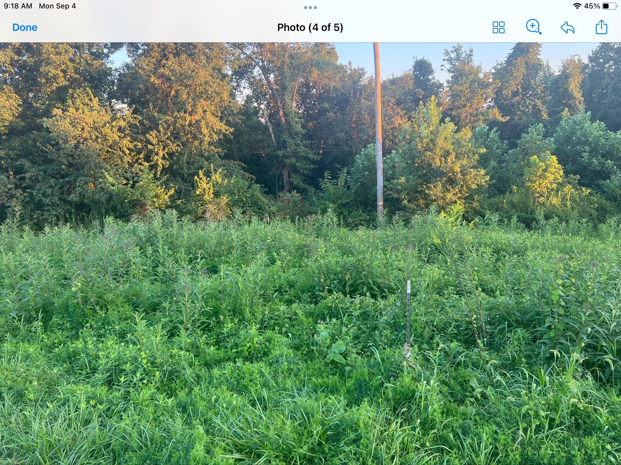 9999 Hwy 2004 Property Photo 13