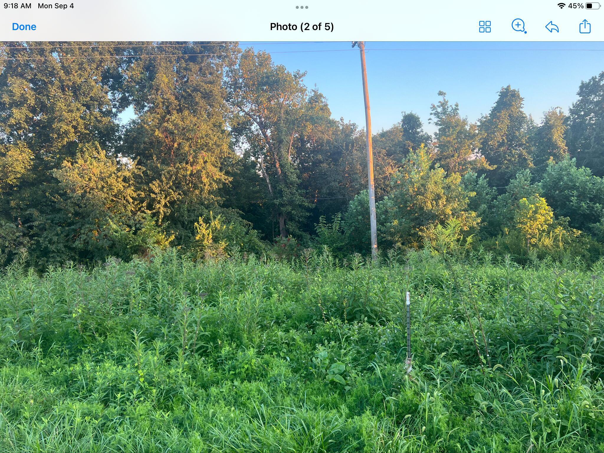 9999 Hwy 2004 Property Photo 15
