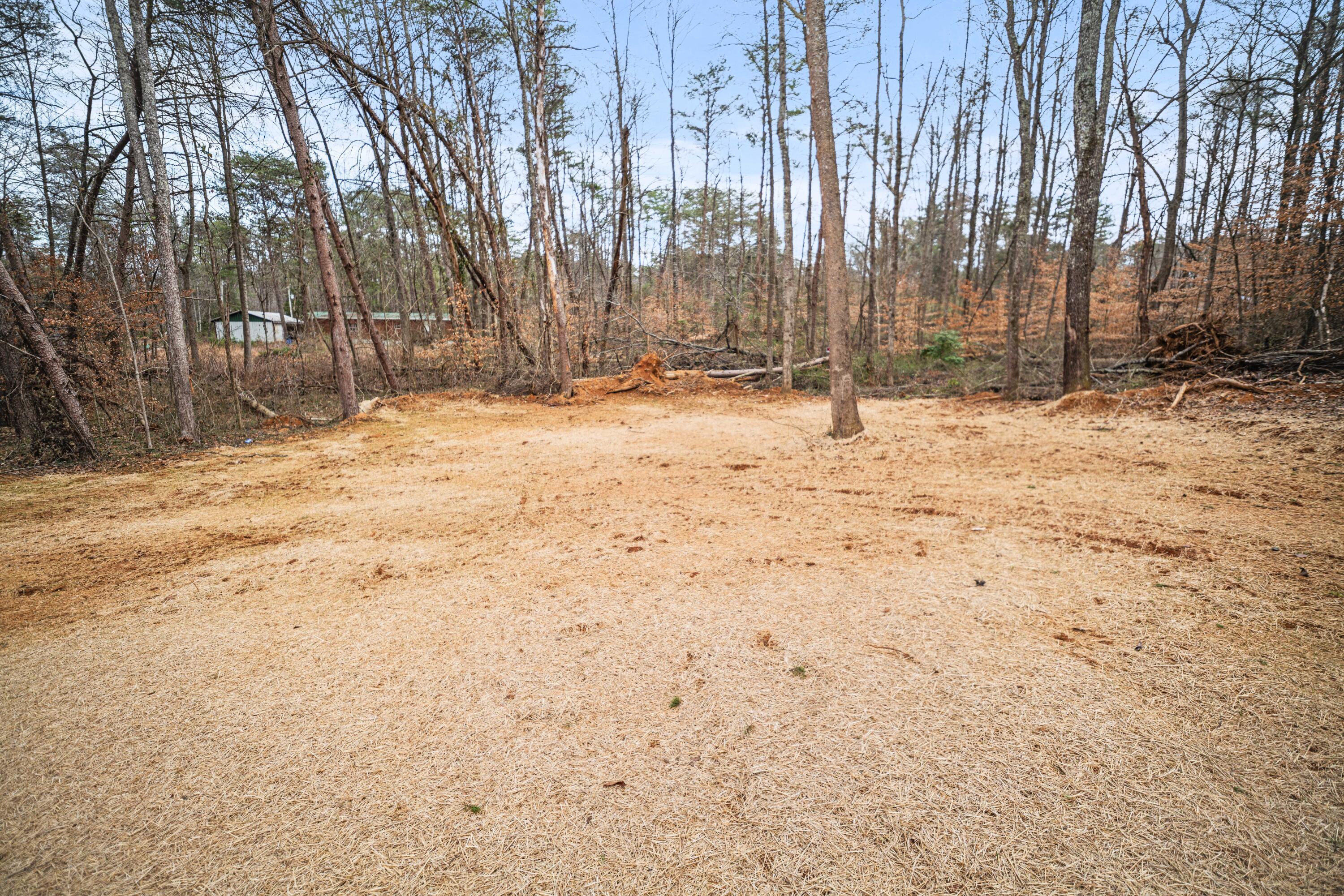 221 Pine Tree Circle Drive Property Photo 37