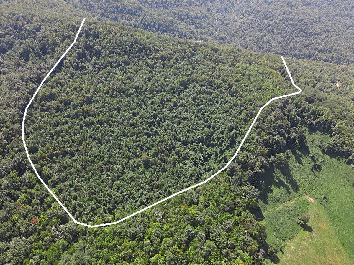0 Corder Flat Road Property Photo 3