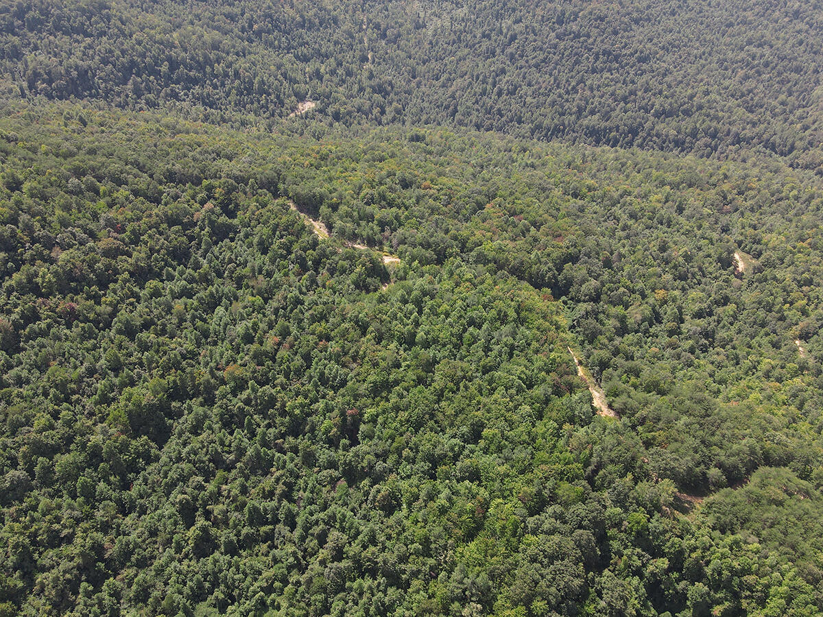0 Corder Flat Road Property Photo 7