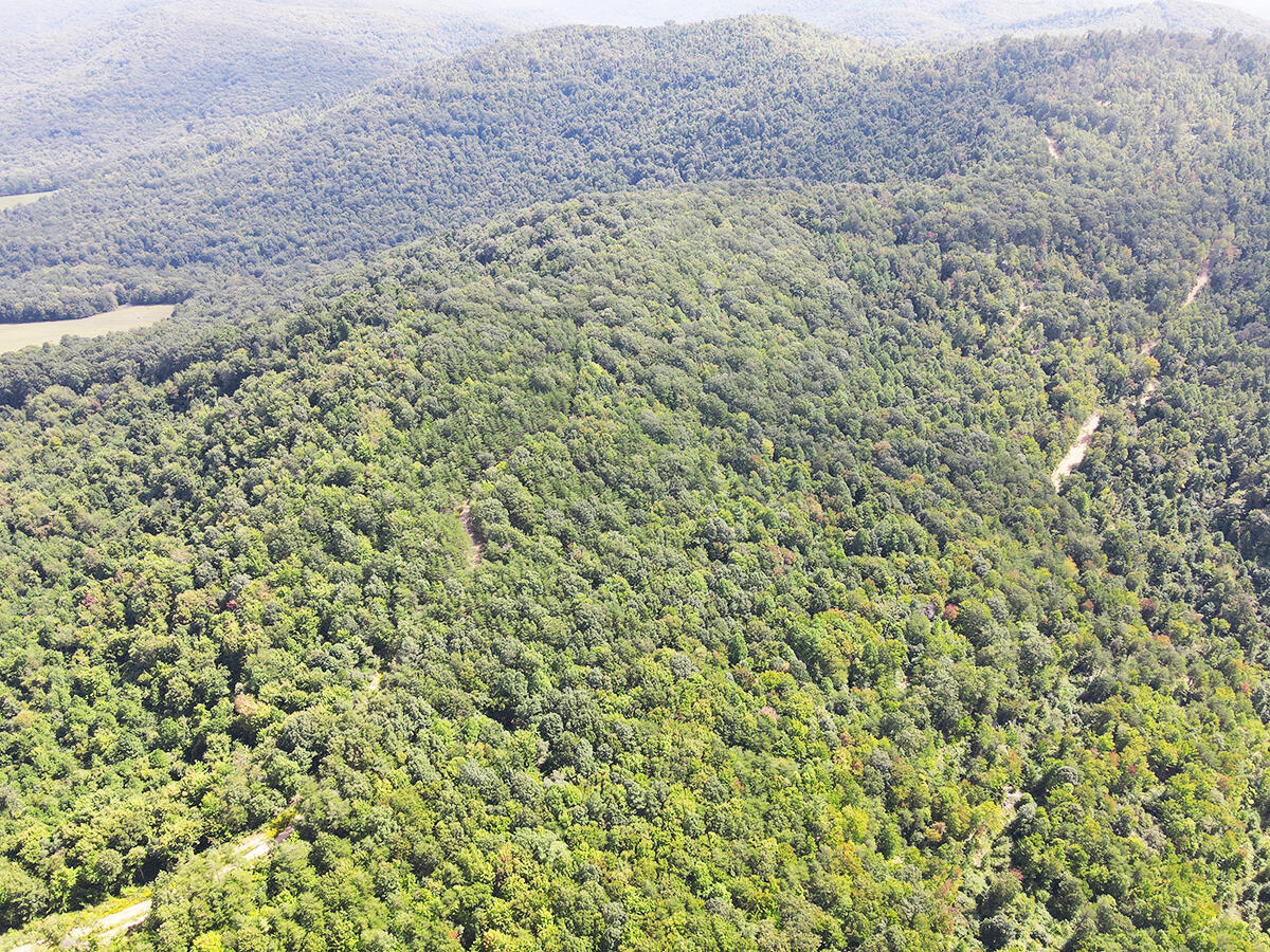 0 Corder Flat Road Property Photo 8