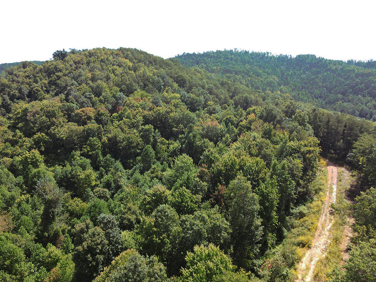 0 Corder Flat Road Property Photo 9
