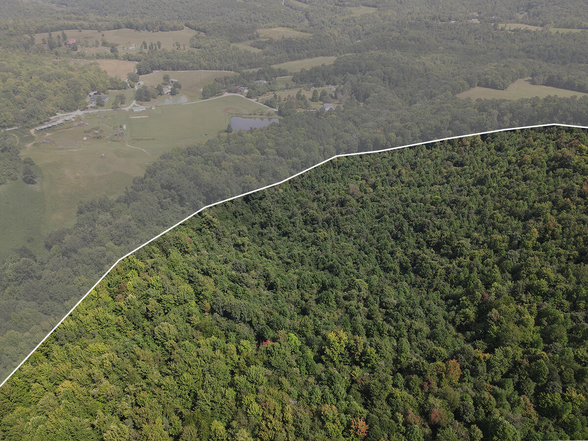 0 Corder Flat Road Property Photo 11